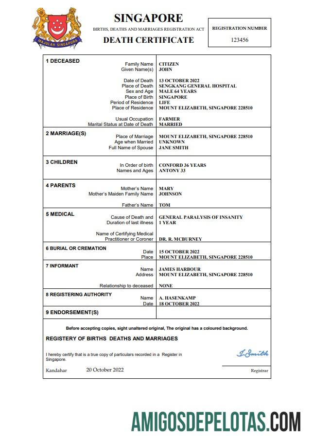 Realista modelo Word e PDF de certidão de óbito de registro vital de Singapura